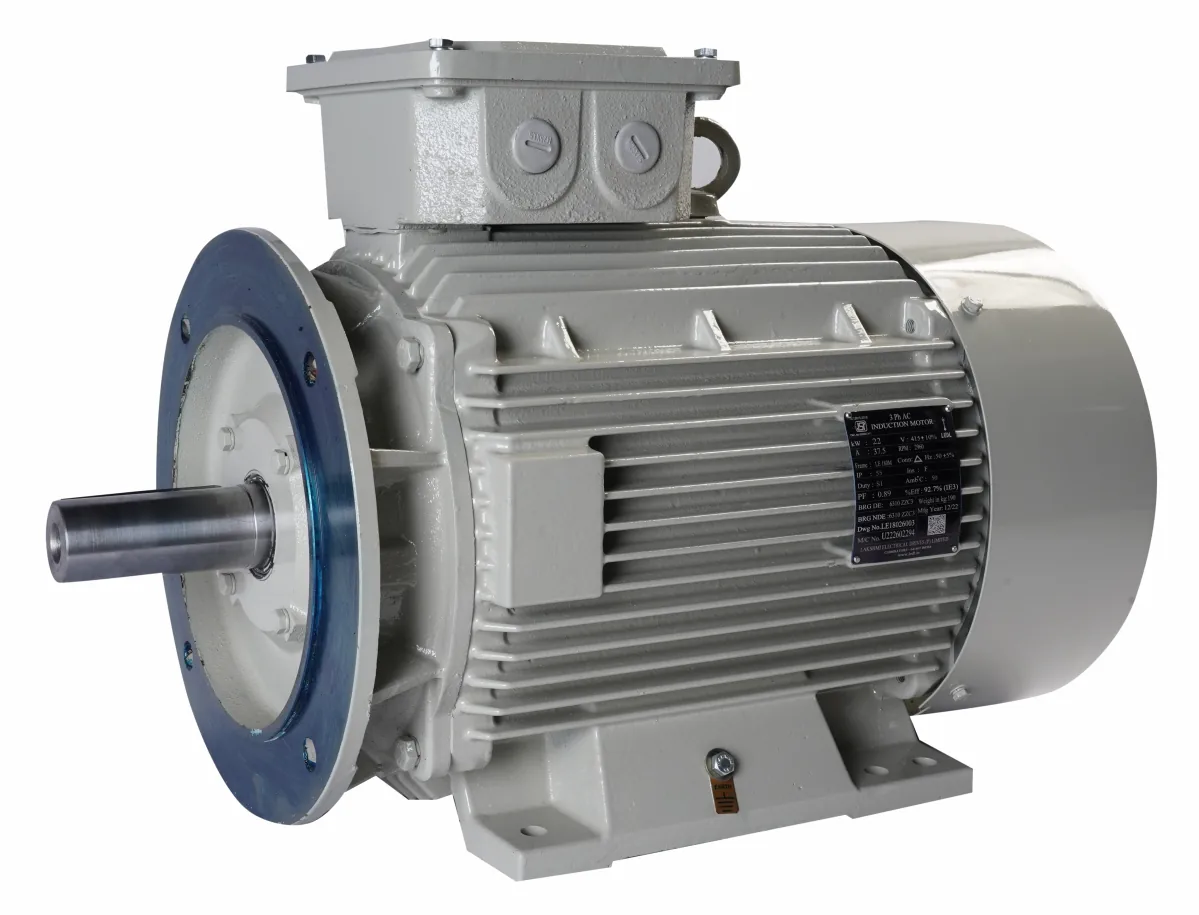 Industrial induction motor